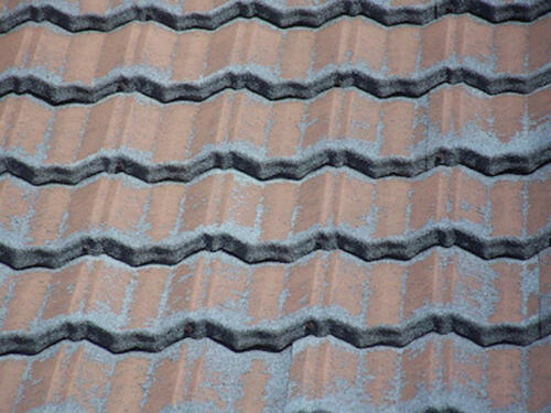 Stone-Coat Roof - Lost Granules