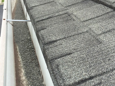 Granules Falling Off, Filling Gutter
